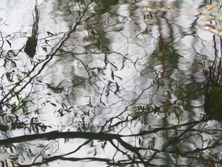 Abstraciones en el agua