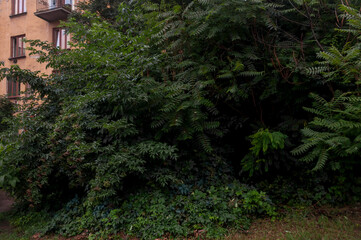 Old abandoned tram tunnel under the Brno Castle Hill