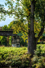 Fototapeta na wymiar Rusty old railway bridge with a tree in autumn colors
