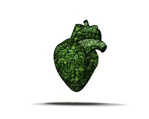 Conceptual image of green grass shaped like human heart. Healthy heart.