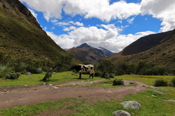 Laguna 69 in Huaraz, Peru