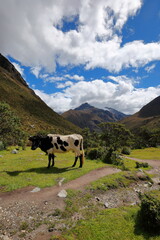 Laguna 69 in Huaraz, Peru