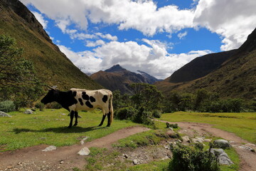 Laguna 69 in Huaraz, Peru