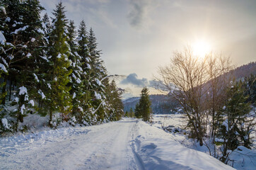Beautiful winter landscape with snow on the trees