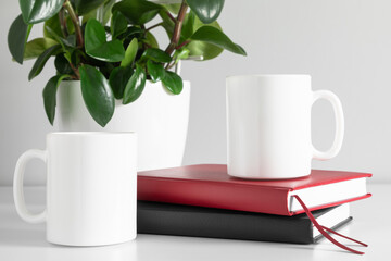Two mugs mockup with notebook and green plant in pot on white table. front view