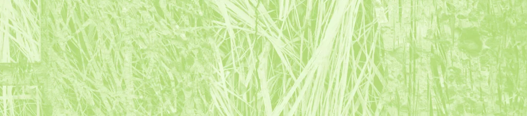 abstract light green background with copy space for design © Tamara