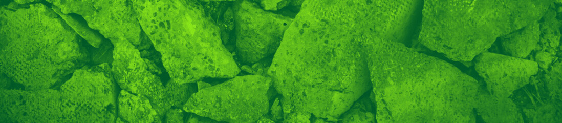 abstract green bright color background for design