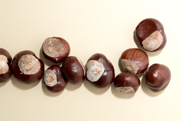 chestnuts on a paper background