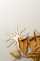 Fototapeta premium dried leaves on a beige background with wooden laser cut spider