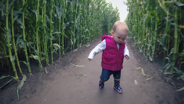 Baby Girl Learning to Walk in Halloween Corn Maze