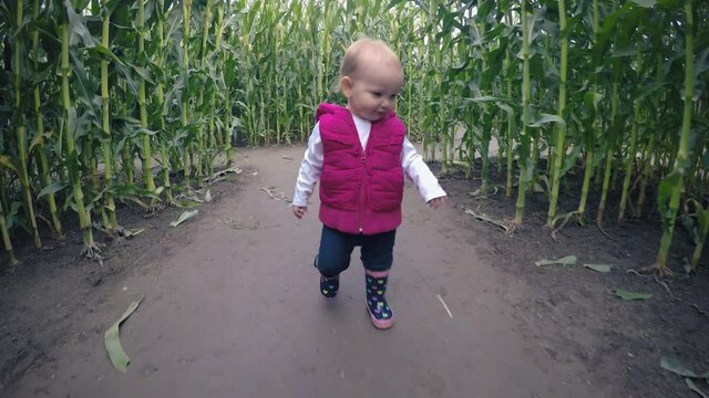 Adorable Little Girl Exploring Pumpkin Farm Corn Maze