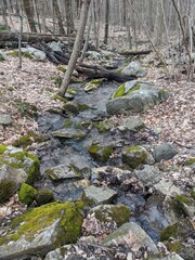 Appalachian Trail - Hudson Highlands, NY