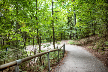 A path going through the forest to Neuschanstein castle in autumn.