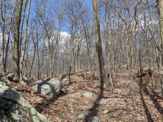 Appalachian Trail - Hudson Highlands, NY