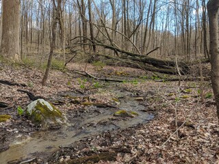 Appalachian Trail - Hudson Highlands, NY