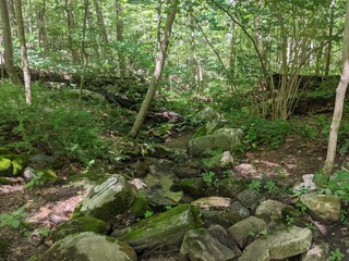 Appalachian Trail - Hudson Highlands, NY