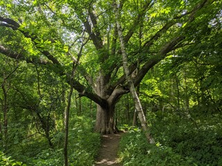 Appalachian Trail - Hudson Highlands, NY