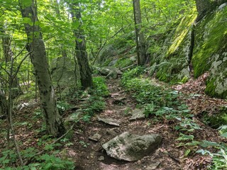 Appalachian Trail - Hudson Highlands, NY