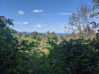 Obraz premium Appalachian Trail - Hudson Highlands, NY