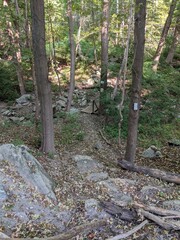 Appalachian Trail - Hudson Highlands, NY