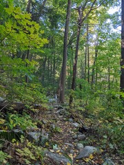 Fototapeta premium Appalachian Trail - Hudson Highlands, NY