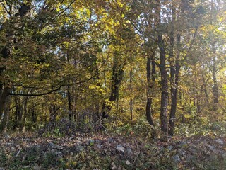 Fototapeta premium Appalachian Trail - Hudson Highlands, NY