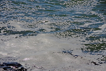 Full frame close view of foaming ocean water near coastal rocks
