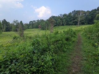 Fototapeta premium Appalachian Trail - Hudson Highlands, NY