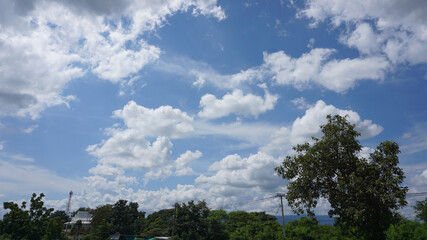 sky with white clouds above the treetops