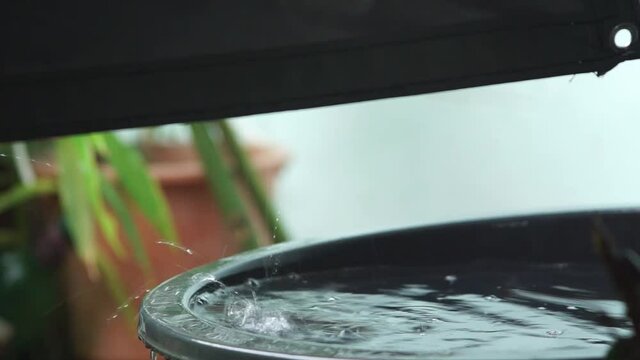pouring water into a glass motion