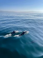 Zelfklevend Fotobehang Dolphins off the coast of California    2021  © Georgina B-St