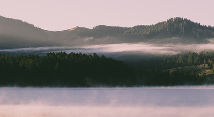 The landscape of a Lake and Trees with Fog