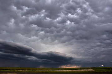 North American Landscapes