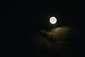 薄い雲に覆われた満月