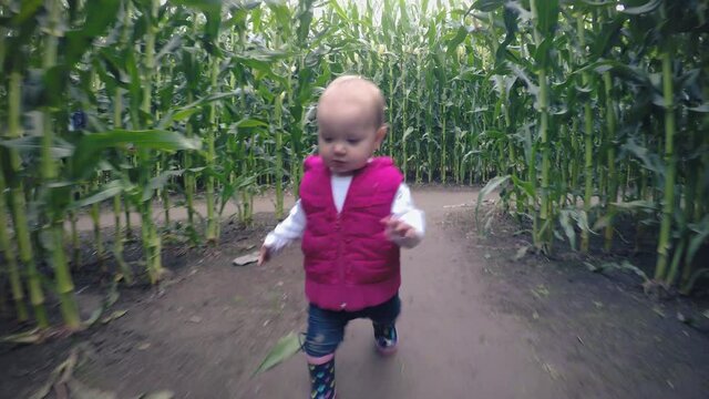 Cute Little Girl Toddler Walking in Autumn Corn Maze