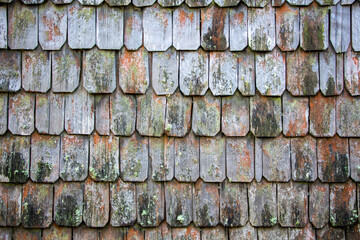 Wall of larch tiles, very typical in the south of Chile.