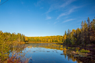 Obraz premium Fall colors in the Canadian forest with lake in the province of Quebec