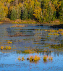 Fall colors in the Canadian forest with lake in the province of Quebec