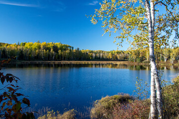 Fototapeta na wymiar Fall colors in the Canadian forest with lake in the province of Quebec