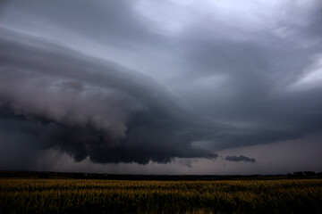 Supercell Storm