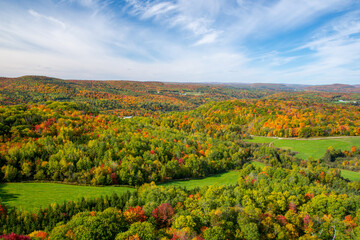 Naklejka premium Fall colors in the Canadian forest in the province of Quebec
