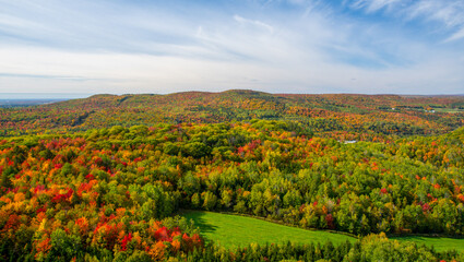 Fototapeta premium Fall colors in the Canadian forest in the province of Quebec