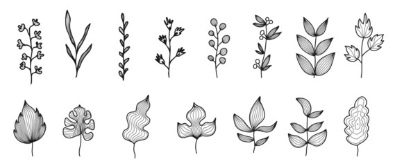 Minimal botanical hand drawing design for logo and wedding invitation. Spring and autumn Floral line art.  Flower and leaves design collection for bouquets decoration, card and packaging background.