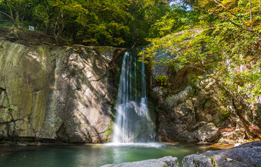 waterfall in the forest