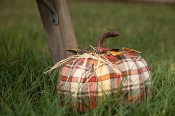 easter eggs in a basket
