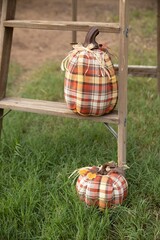 Fall tartan pumpkins on a ladder in grass