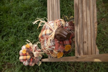 flowers in the garden