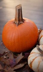 pumpkin and pumpkins