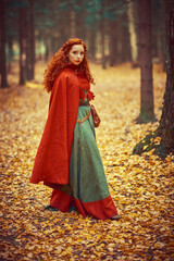 beautiful celtic woman