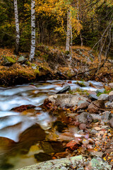 stream in autumn forest